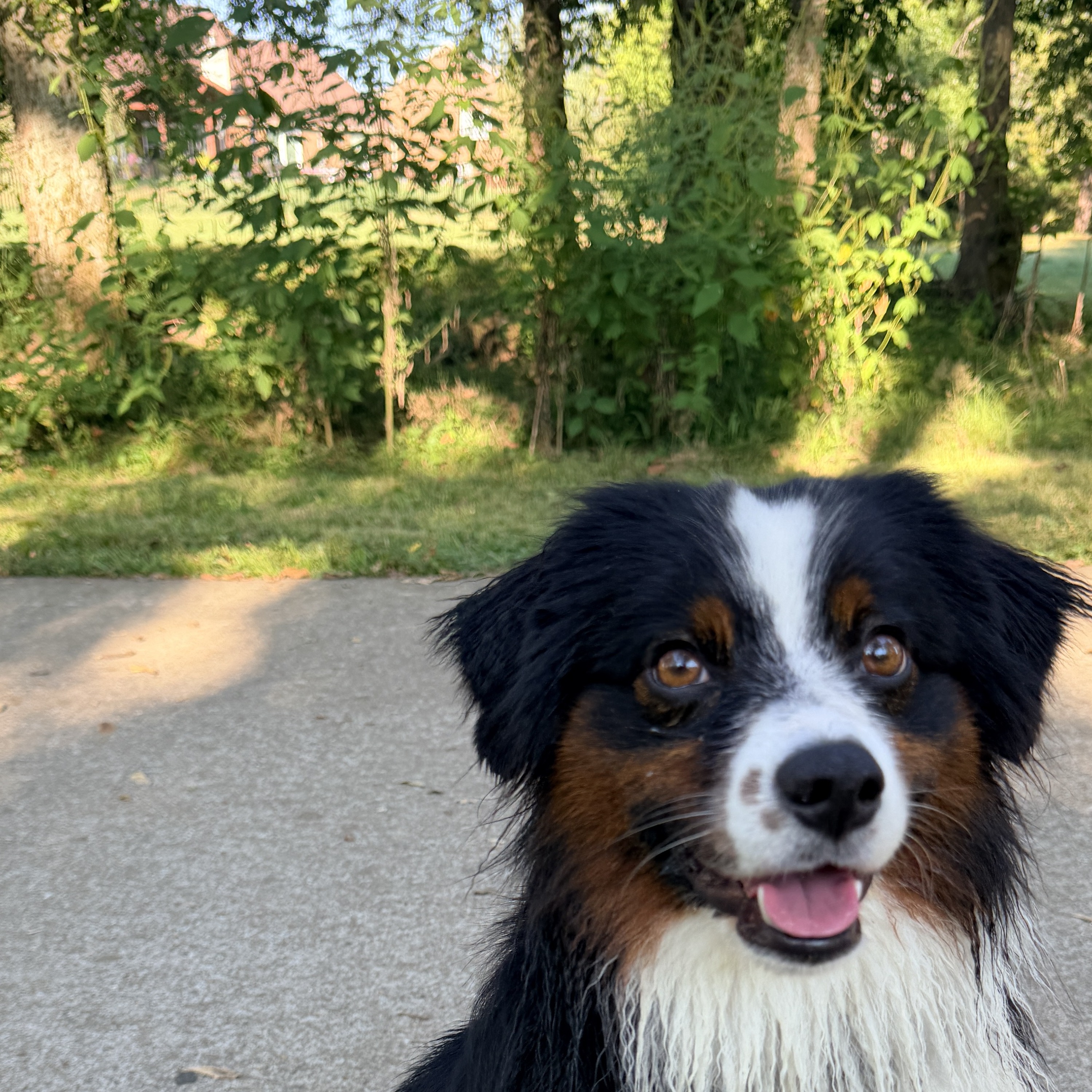 Maggie smiling on a trail path