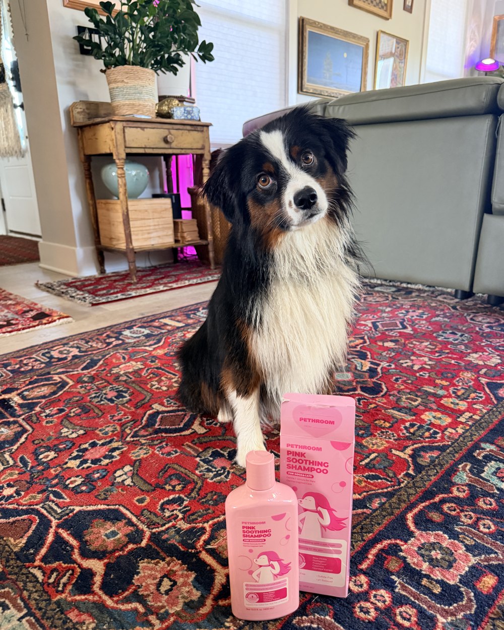 Maggie posing beside Pethroom pink shampoo